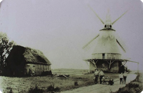 Bild kann nicht geladen werden.